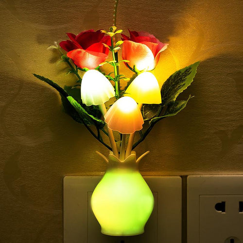 Home Decor